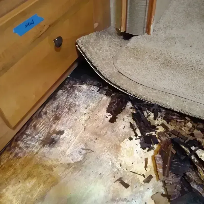 Wood Floor Water Damage in South Beach, FL